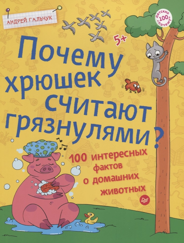 Чому свинок вважають бруднулями. 100 цікавих фактів про домашніх тварин